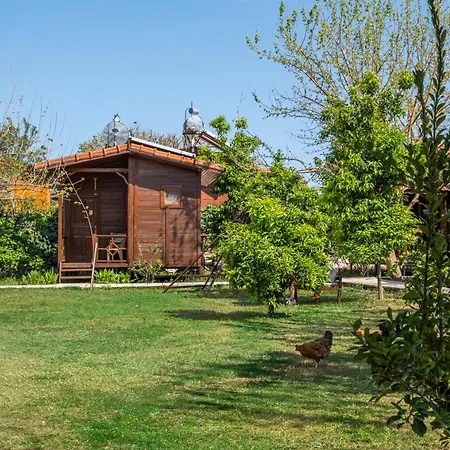 Cirali La Maison Otel Kemer