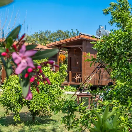 Cirali La Maison * Kemer