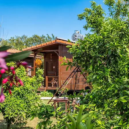 Cirali La Maison Kemer