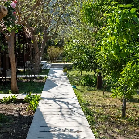 Cirali La Maison Kemer