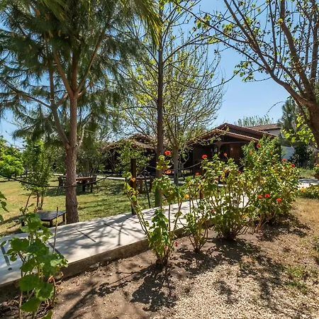 Hotel Cirali La Maison Kemer