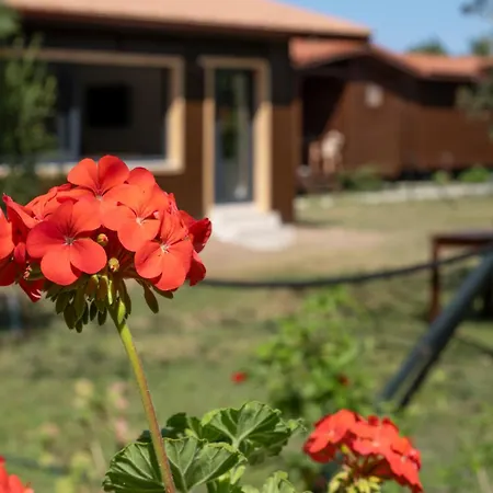Cirali La Maison Otel *