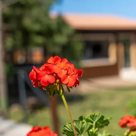 Otel Cirali La Maison Kemer